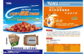 邮政速递