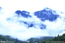 山上的云雾