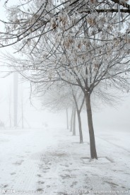 冰天雪地