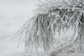 冰天雪地