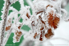 冰天雪地