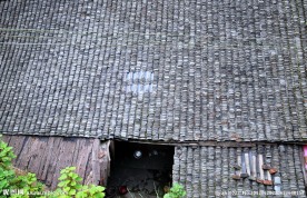 屋瓦
