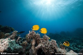 水族馆 海底世界
