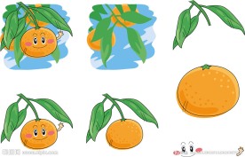 手绘橘子表情