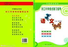 语文复习指导