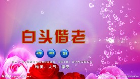 婚庆贺词视频（AE可改字）