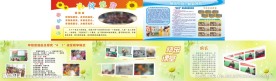 小学校园文化展板