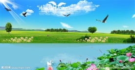 荷花风景图