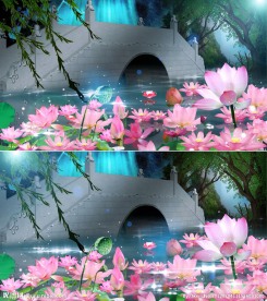 荷塘水光视频(AE)