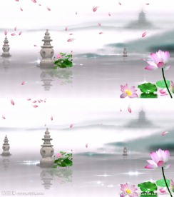 西湖三潭荷花视频（AE）