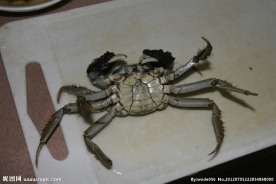 螃蟹