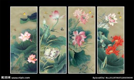 荷花国画