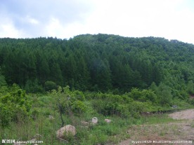 新民村风景