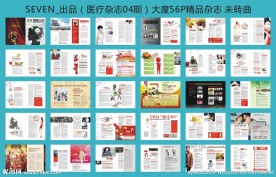 妇科医疗杂志