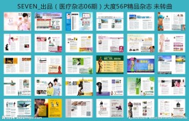 妇科医疗杂志