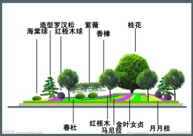 广场绿化效果图