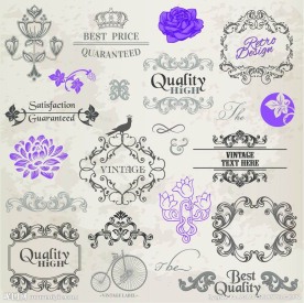 欧式花纹 花朵 小鸟 边框