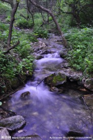 灵山秀水