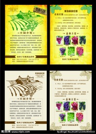 葡萄园宣传页