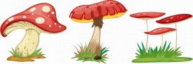 手绘卡通蘑菇
