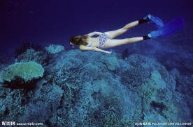 美女潜水员