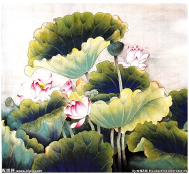 荷花国画