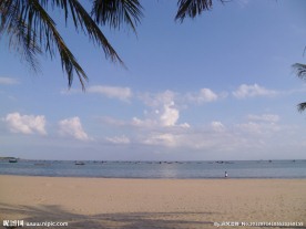 椰树海风
