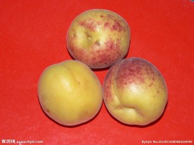 鲜杏