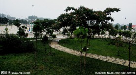银环路