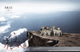 企业狼道文化源文件