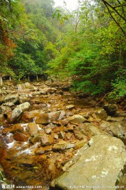 武夷山生态保护区