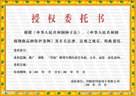授权委托书