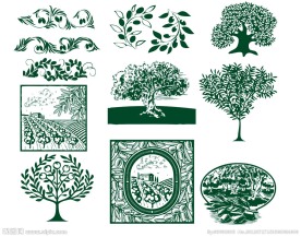 橄榄素材（精）