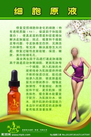 曼妮 韩式减肥 挂图