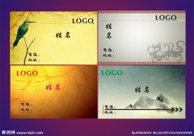 中国风味