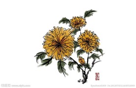 鲜花花朵水墨画