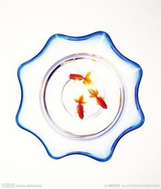 红金鱼