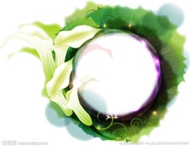 百合花背景