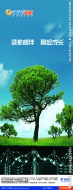 电信易拉宝广告