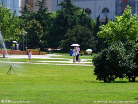 城市公园