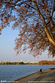 城市公园
