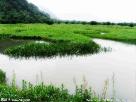 大九湖湿地