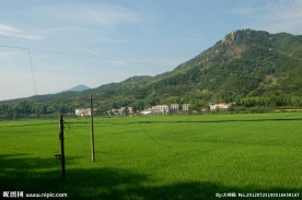 鄂东新农村