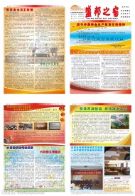 报纸