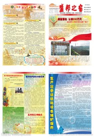 报刊