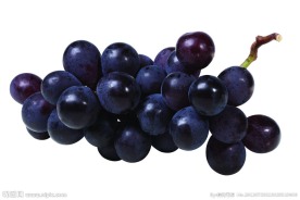 葡萄
