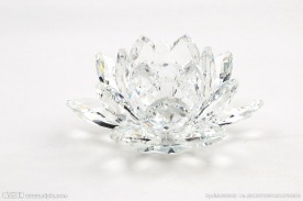 水晶莲花 白色