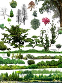 花草树林素材