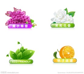 薰衣草茉莉花桔子草露珠矢量图