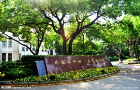复旦大学